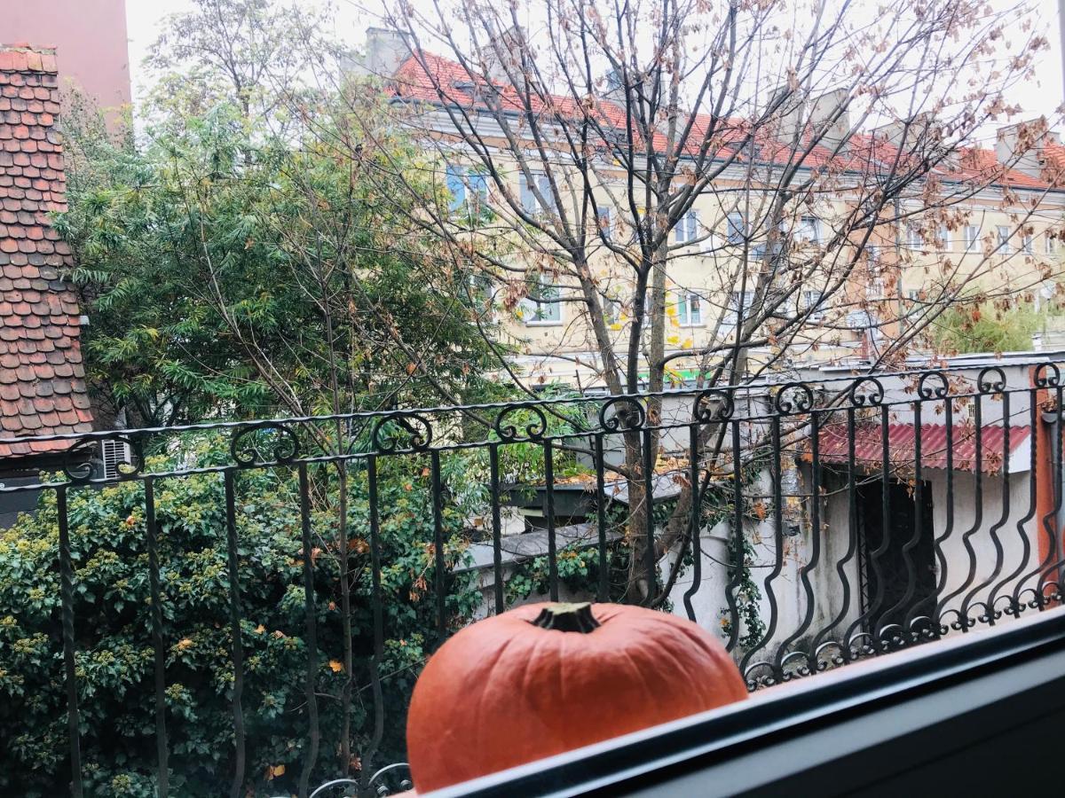 Apartament Starowka Zielona Góra Buitenkant foto